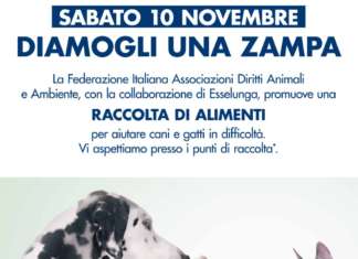 MANIFESTO COLLETTA PETFOOD 10novembre2018 esselunga